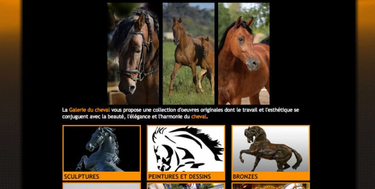 Création site internet à Perpignan dans les Pyrénées Orientales - Cheval